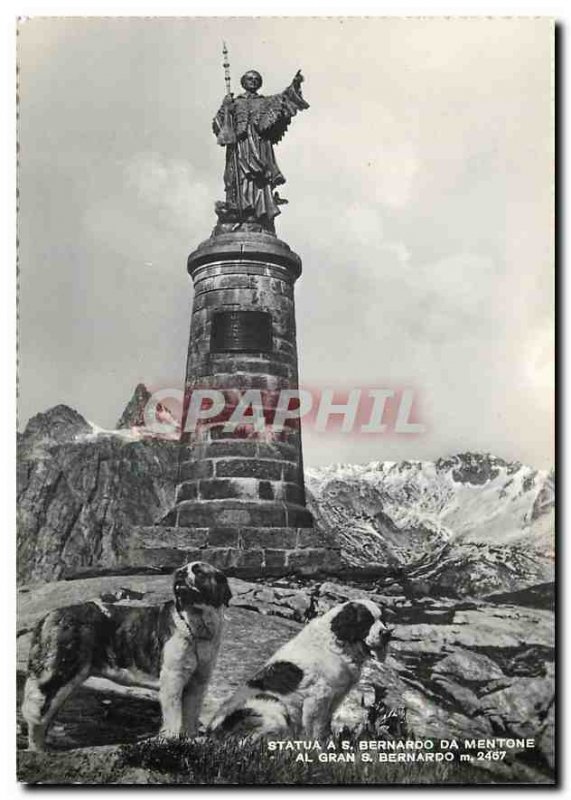 Modern Postcard Statue Bernardo da Mentone Dogs St Bernard