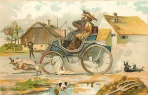 1920s Coupe Cuddling Transportation farm animals Postcard 22-11174