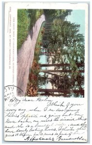 c1905 Pine Grove Drive At Canadarago Lake Richfield Springs New York NY Postcard 