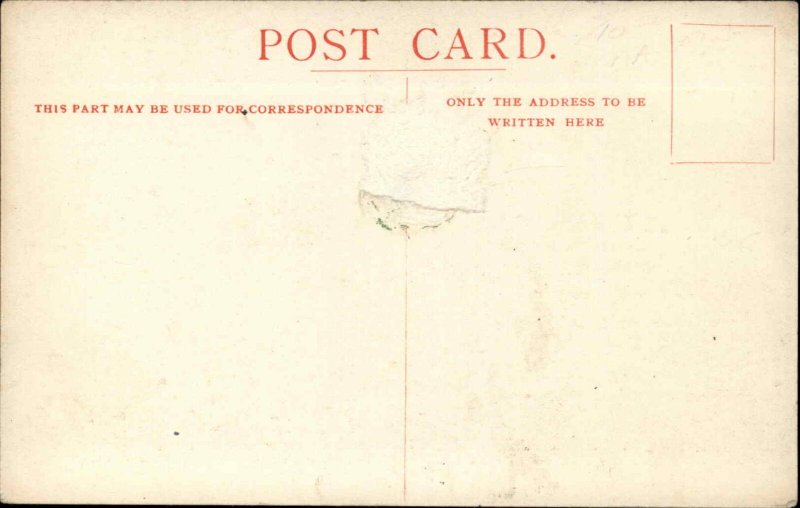 Union Castle Line Royal Mail Steamship Kenilworth Castle c1910 Postcard