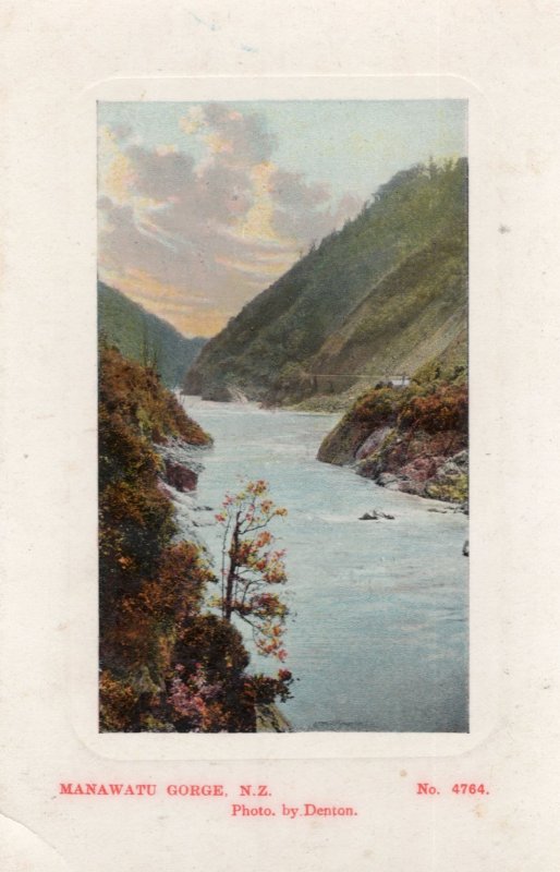 Makawaku Gorge New Zealand Antique Postcard