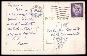 A Fair Catch in the Florida Keys