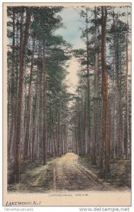 Hand Tinted Scenic View, Tree Lined (Dirt Road) Cathedral Drive, Lakewood, Ne...