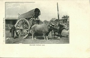 siam thailand, Native Siamese Bullock Cart (1899) Postcard