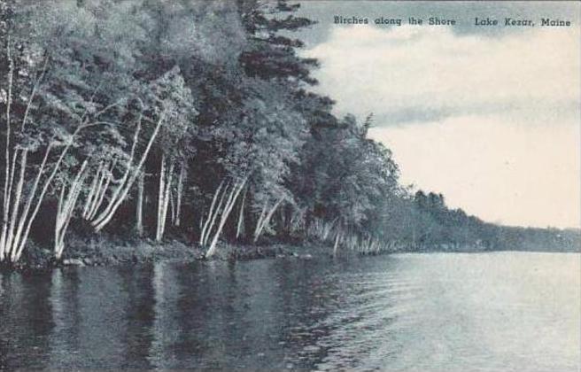 Maine Lake Kezar Birches Along The Shore Albertype