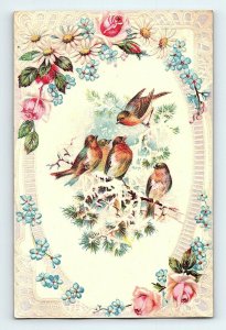 1880's-90's Embossed Victorian Card Colorful Wild Birds Tree Ice Winter P157