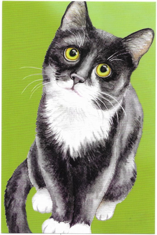 Curious Cat a Pet Partners Card 4 by 6