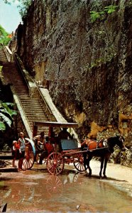 Bahamas Nassau Sightseeing Carriage At Queen's Staircase