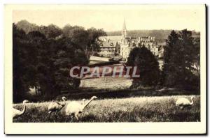 Postcard Old Zoological Park Cleres Vue Generale Zoo Ostrich Ostriches