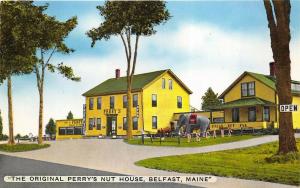 Belfast Maine 1940-50s Postcard Original Perry's Nut House Elephant