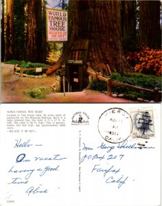 World Famous Tree House (11083