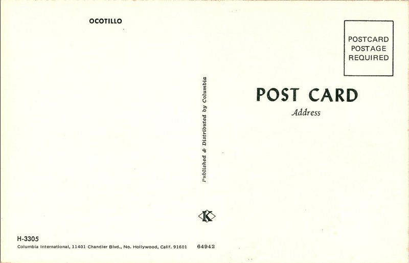 Ocotillo Desert Plant Cactus California Chrome Postcard