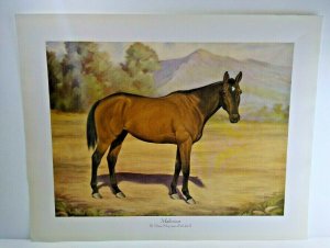 Malicious Race Horse Vintage Art Print Original Omar Khayyam Ridicule 1920's 