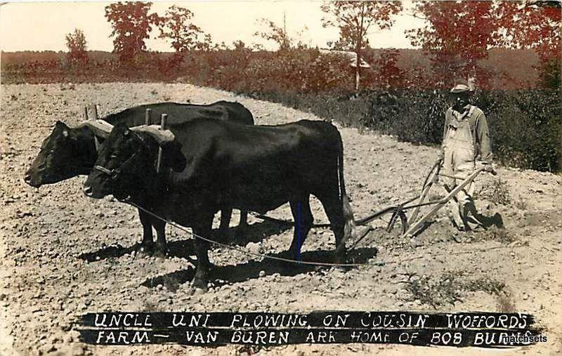 Circa 1940's Uncle Uni plowing Wofford's Farm RPPC 9148 Postcard