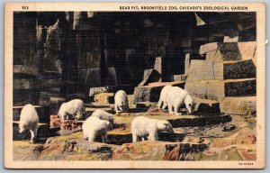 Vtg Chicago Illinois IL Brookfield Zoo Polar Bear Pit Zoological Park Postcard