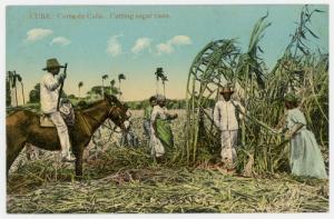 Corte de Cana - Cutting Sugar Cane - Cuba - c. 1910 Unuse...