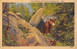 Can't Bear to Leave Adirondack Mountains, NY, USA Bear 1937 