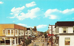 Cape May NJ Washington Street Mall Storefronts Postcard