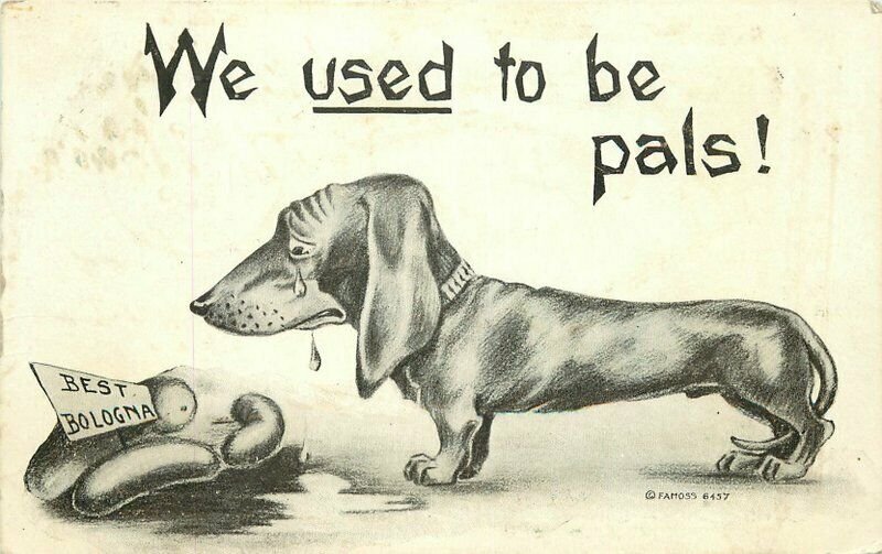 Bologna Comic Humor Dachshund Dog Sausage pal 1910 Postcard 20-1140