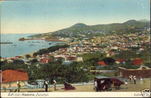 portugal, MADEIRA, Funchal, Panorama (1910s)