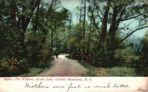 Vintage Postcard 1900's The Willows Green Lake Catskill Mountains New York NY