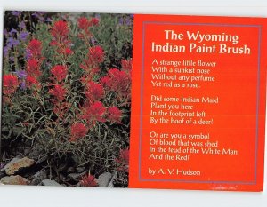 Postcard The Wyoming Indian Paint Brush, Wyoming