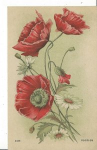 POSTCARD GREETING - POPPIES