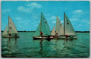 Alpena Michigan 1960s Postcard Sailboating Boats