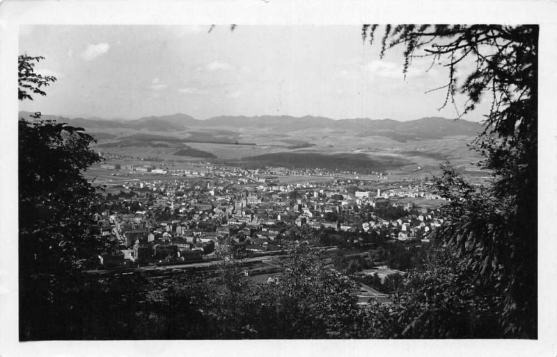 Zilina Czechoslovakia Birds Eye View Real Photo Vintage Postcard AA70111