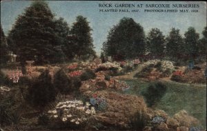 Sarcoxie Missouri MO Nursery Garden Peony Fields Gardening Vintage Postcard