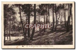 Old Postcard La Baule The wood & # 39amour