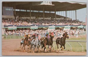 Finger Lakes Racetrack~Canadaiuga New York~Vacationers Paradise~Litho~Vintage PC