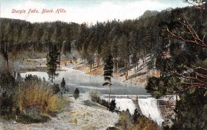 Sturgis Falls Black Hills, South Dakota SD