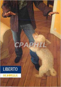 Postcard Modern Liberto Sexual Dog