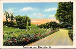 Postcard IL Rushville - Greetings from -- Country Scene S-558