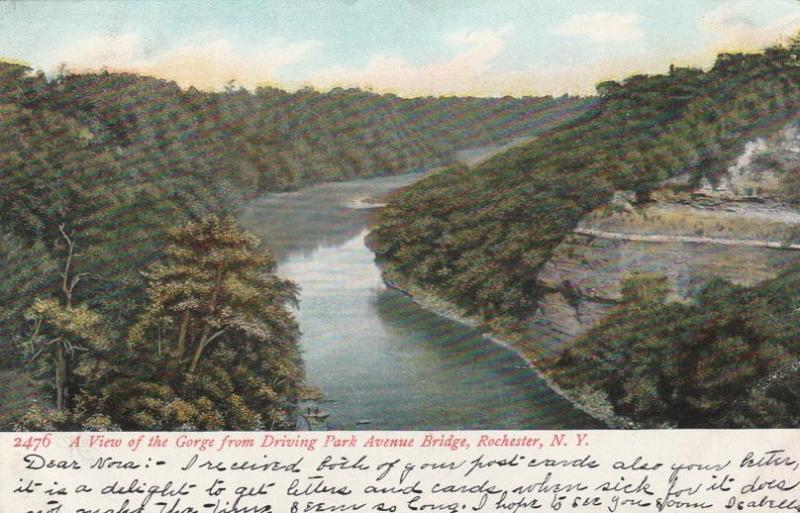 Genesee River Gorge View from Driving Park Avenue Bridge Rochester NY pm 1907