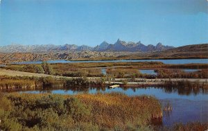 The Needles ROUTE 66 California Colorado River c1960s Chrome Vintage Postcard