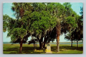 Lanier Oak Tree Macon Georgia Vintage Posted 1972