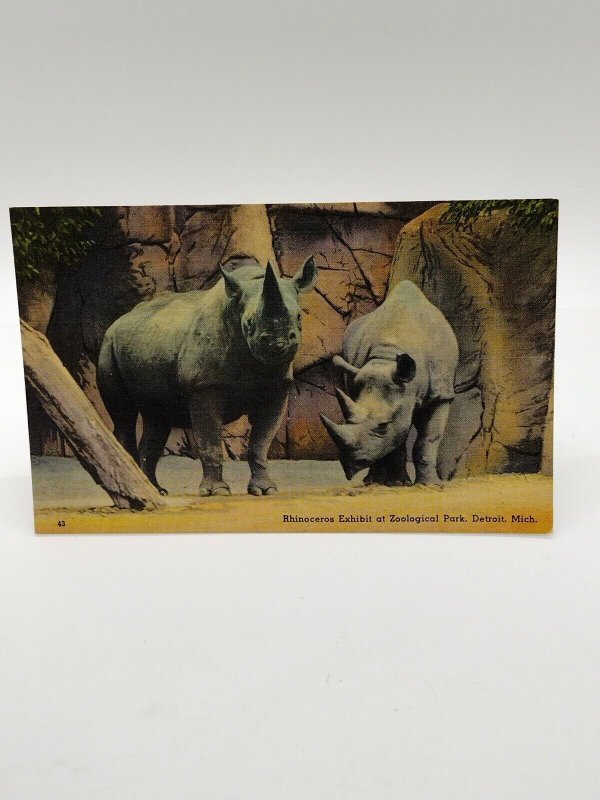 Postcard Rhinoceros Detroit Zoological Park Michigan Unposted Linen Hand Colored