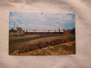 1960's Shangri-la Motel, Roanoke, VA Virginia Chrome Postcard