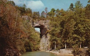 Postcard Natural Bridge One Of The Seven Natural Wonders Of The World Virginia