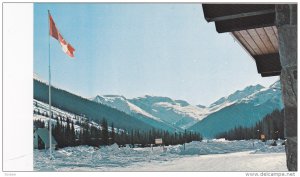 Looking West in Rogers Pass towards the Asulkan Glacier near the Northlander ...