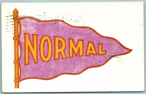 CEDAR FALLS IA IOWA STATE NORMAL SCHOOL FLAG 1909 ANTIQUE POSTCARD