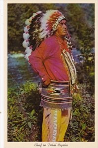 Indian Chief In Tribal Regalia