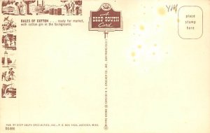 Bales of Cotton Ready For Market View Postcard Backing 