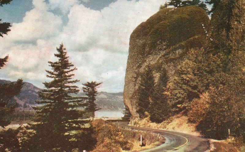 Vintage Postcard 1942 Shepherd's Dell On Columbia River Highway Mountains Oregon