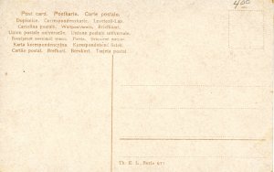 Saint Bernard Puppies