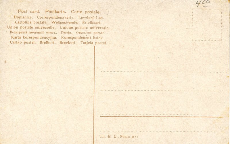 Saint Bernard Puppies