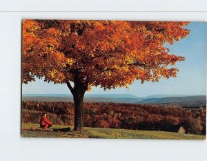 Postcard Flaming Foliage time in the Beautiful Pocono Mountains, Pennsylvania