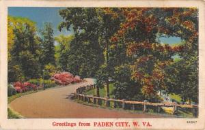 Paden City West Virginia Scenic Roadway Greeting Antique Postcard K105033